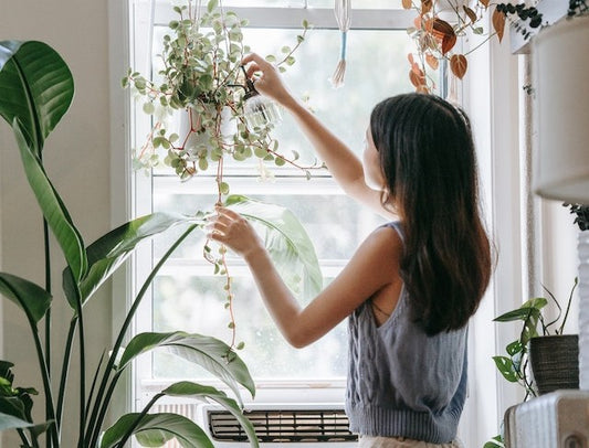 Woman watering her house plants