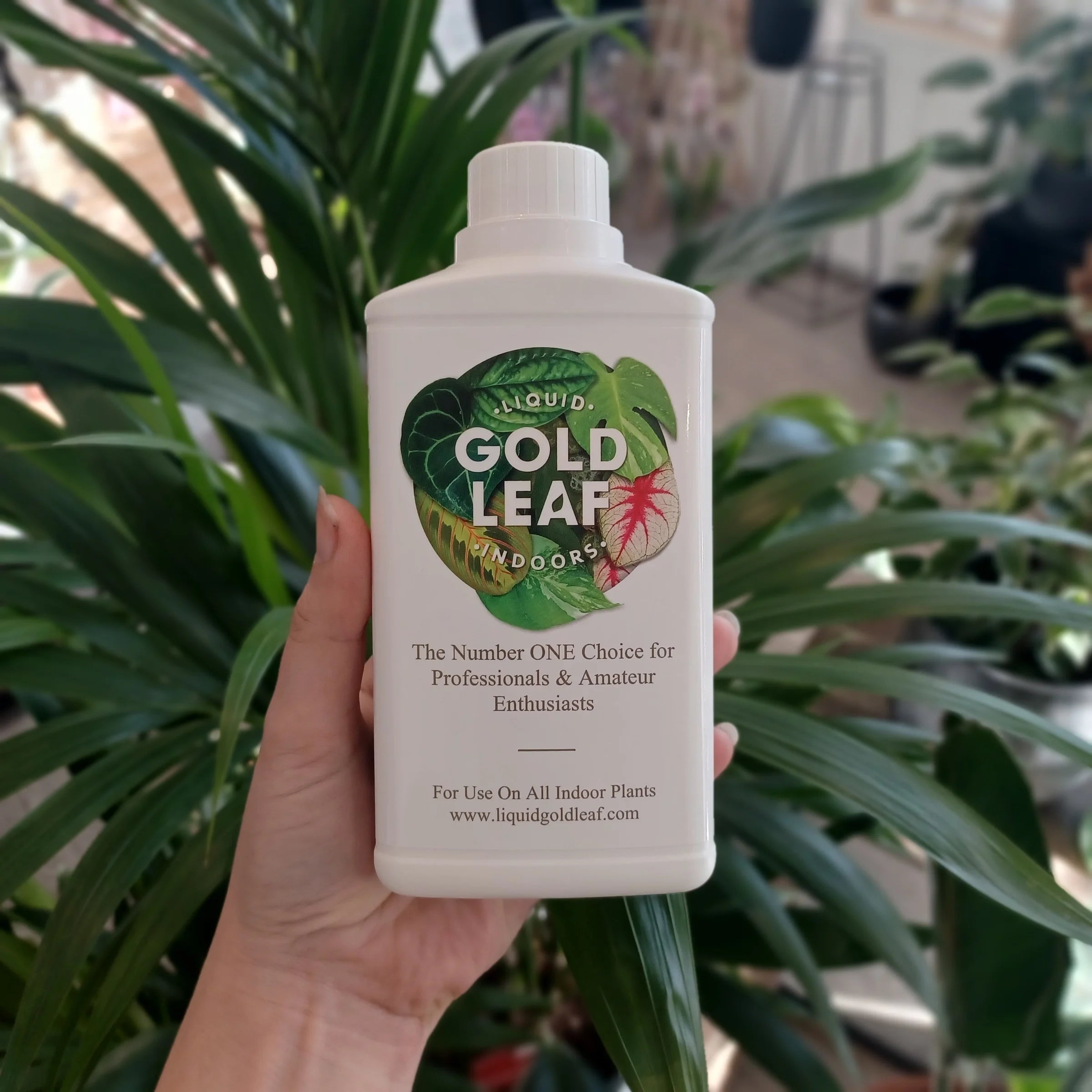 Liquid Gold Leaf Indoors