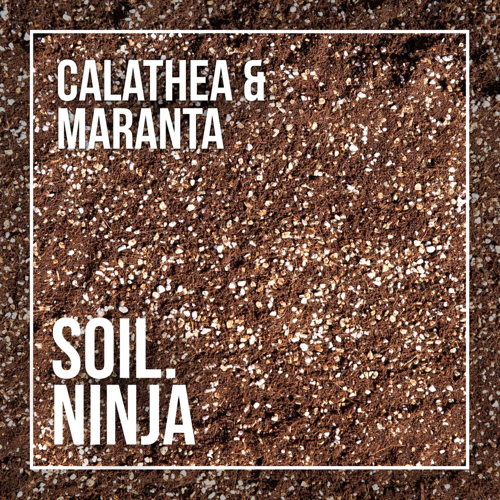 Calathea & Maranta Soil Blend 5L | Soil Ninja